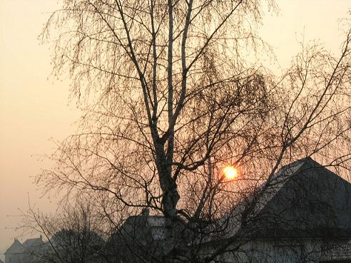 Soleil Virois