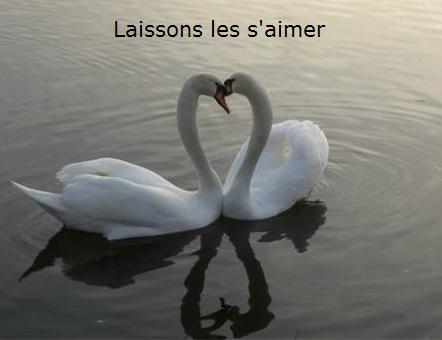 laissons-les-saimer.JPG